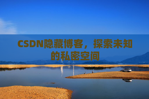 CSDN隐藏博客，探索未知的私密空间